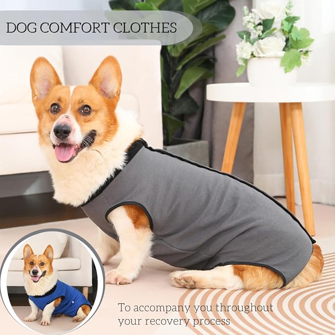 Dog Surgery Recovery Suit,Abdominal Surgical Suit for Dogs,Recovery Suit for Dogs,Prevent Licking Surgical Wound Dog Cone Alternative Grey XL-PurrikoPets