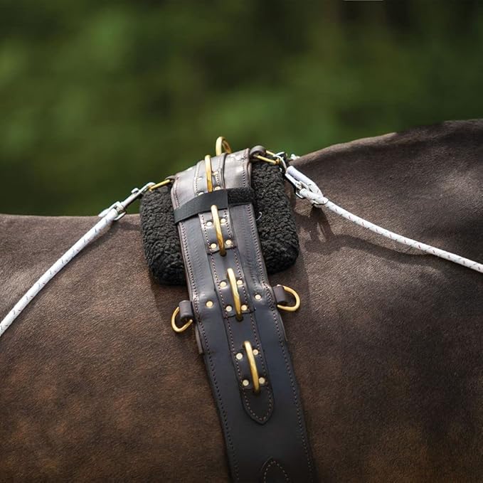 Advanced European Training System | Advanced Training Tool | Enhances Horse Carriage and Headset | Encourages Forward Movement | Strengthens Key Muscles | Not for Beginners-PurrikoPets