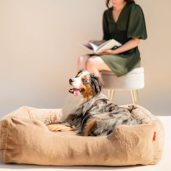 FUZI Luxury Aesthetic Dog Bed for Small Dogs with Washable Cover, Pet Couch, Pet Bed with Sides, Non-Slip Bottom, Soft and Durable Calming Dog Bed, Faux Rabbit Fur, Small 25.1x16.75x9.5 Light Brown-PurrikoPets