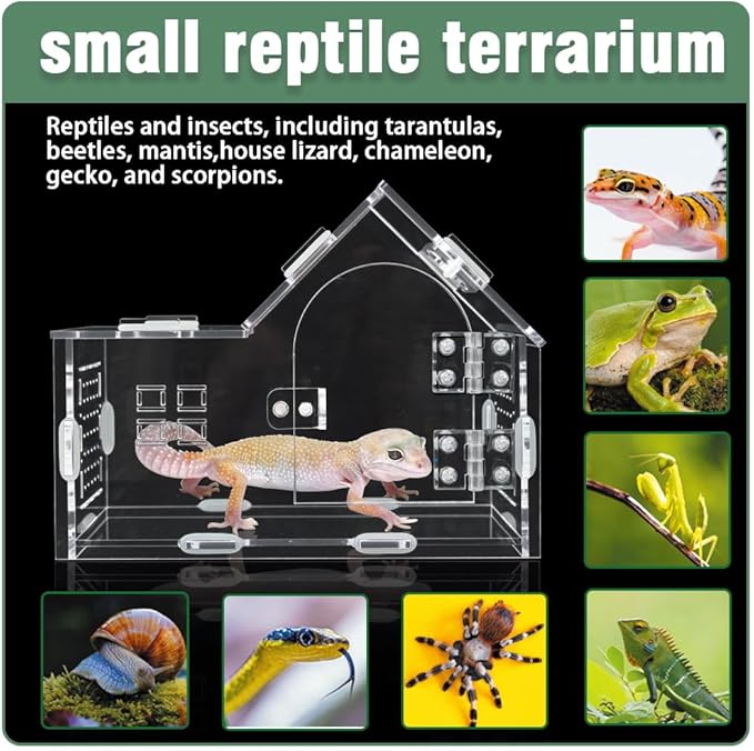Acrylic Jumping Spider Enclosure - Versatile Reptile Enclosure with One-Click Magnetic Closure, Perfect for Tarantula, Gecko, Chameleon, Beetle, Mantis, and Hermit Crab-PurrikoPets