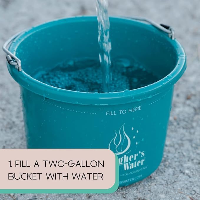 GALLAGHER'S WATER 2 Pack All-Natural Equine Hydration Treat - Enhancement Powder Mix Horse Drink Treat to Help Encourage to Drink Water - Made with All Natural Ingredients, FEI Compliant-PurrikoPets