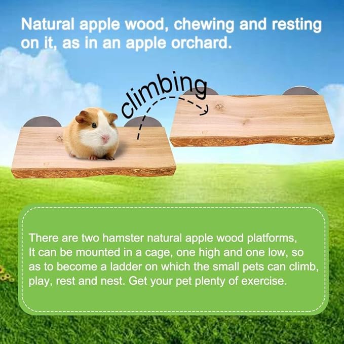 2Pcs Hamster Ledges Wooden Platform Rat Climb Platform Shelf Bird Perch Stand Toys Cage Accessories for Rat Squirrel Gerbil Suger Glider 2.6" X 5.9"-PurrikoPets