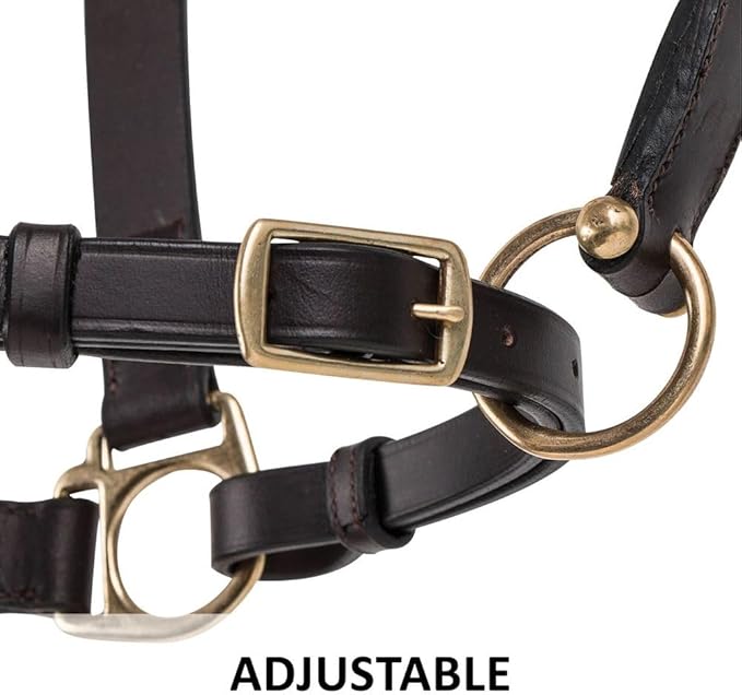 Dura-Tech Premier Lancaster Leather Halter for Horses | Simple Economy Leather Halter with Adjustable Fit & Solid Brass Hardware-PurrikoPets