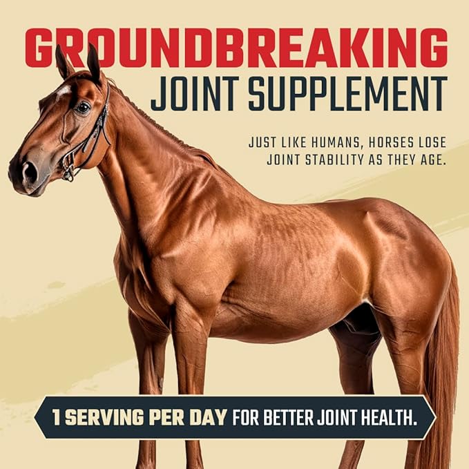 8 in 1 Maximum Strength Equine Joint Supplement - Joint Supplement for Horses - Glucosamine, MSM, Chondroitin, Turmeric, Hyaluronic Acid, Manganese, & Boswelia - 964g (30 Servings)-PurrikoPets