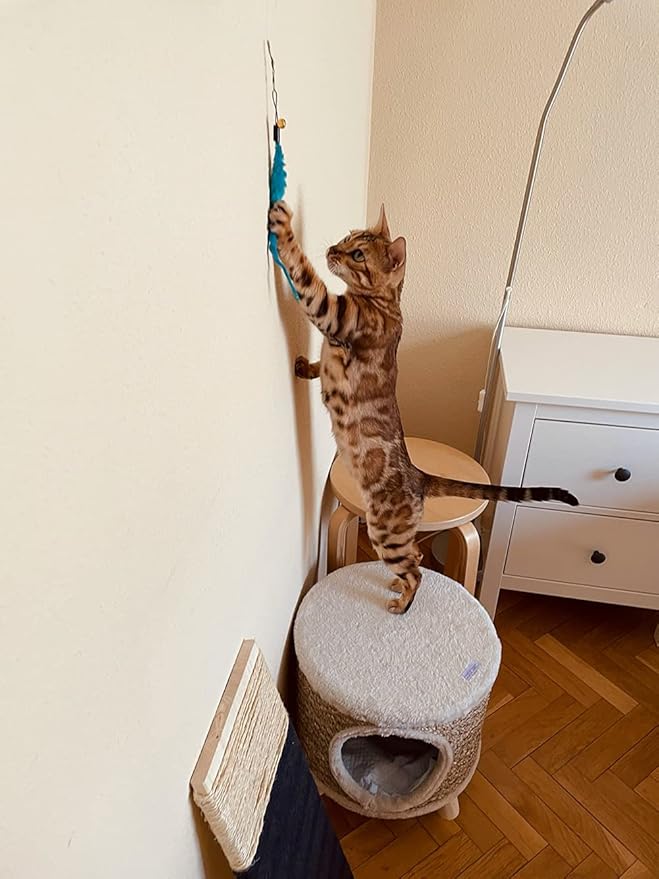 24 PCS Cat Worm Toy Refills Cat Wand Toy Replacement Interactive Wand Accessories Feather Worm Teaser Refills Attachment-PurrikoPets