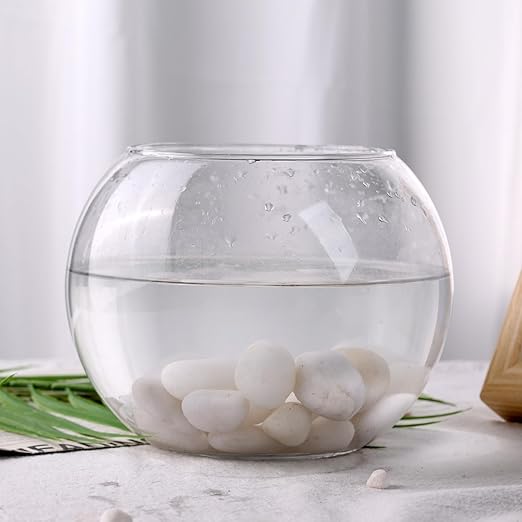 DomeStar 2.7lb White River Rocks, Polished Pebbles Decorative White Stones for Landscaping Vase Filler Fish Tank Aquariums Garden Outdoor and Indoor DIY-PurrikoPets