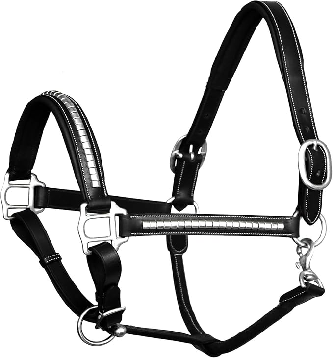 Exion Leather Horse Halter with Padding & Clincher Studs – Adjustable Quick‑Release Crownpiece Halter for Horses – Vegetable‑Tanned Leather in Black & Brown – Cob, Full & Oversize-PurrikoPets