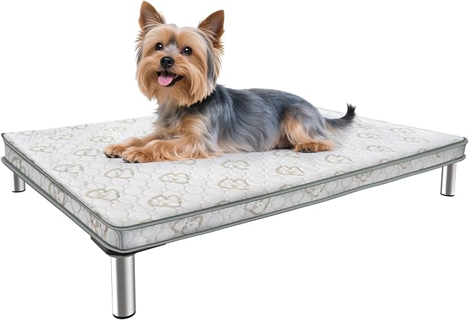 FXW TitanNest Chew-Proof Elevated Dog Bed, Raised Cot for Indoor/Outdoor/Camping Use, Durable & Washable Padded Pet Bed with Exclusive Reuseable Cover for Toy Dogs, 24.0" L x 20.0" W x 4.1" H, Gray-PurrikoPets