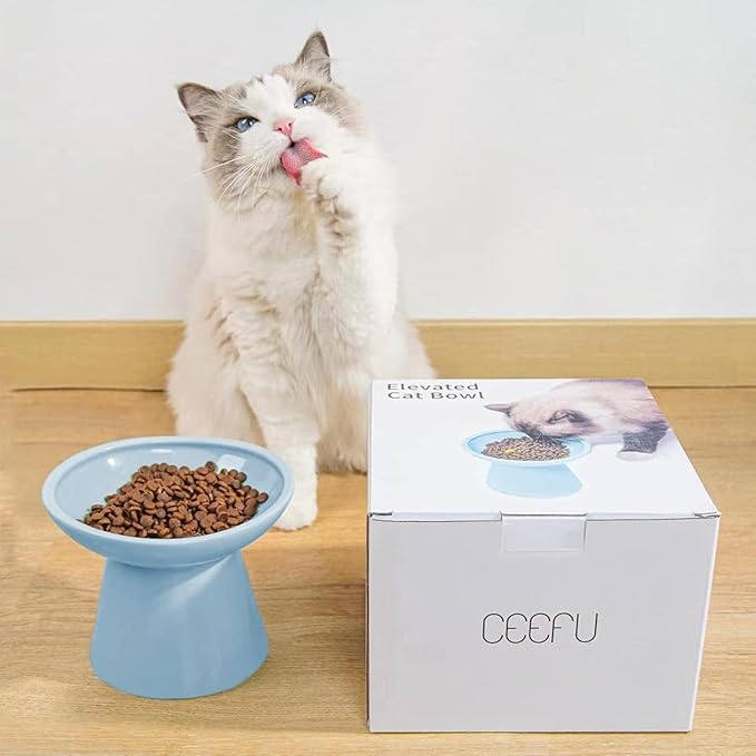 Extra Wide Elevated Ceramic Cat Bowl, 6.2" Shallow Dish for Whisker Fatigue Relief, 5" Height for Easy Feeding, Durable Raised Cat Food Bowls, Pack of 2, Blue-PurrikoPets