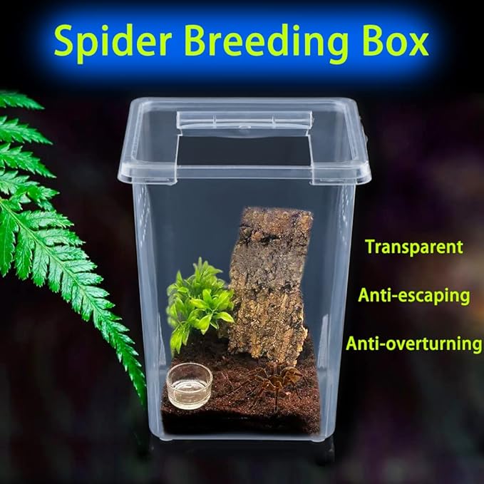 4 Pcs Insect Spider Terrariums Breeding Box Hatching Container Small Reptile Arboreal Spider Mantis Scorpion Centipede Acrylic Breeding Box-PurrikoPets