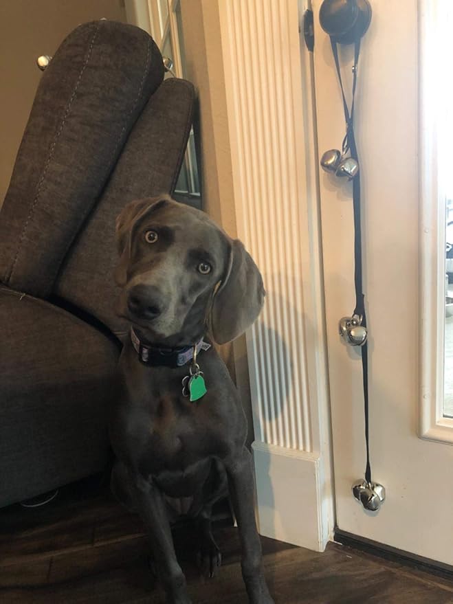 Dog Doorbells for Potty Training/Door Knob/Go Outside, Premium Quality Dog Bells, 7 Extra Large Loud 1.4 DoorBells, Adjustable Door Bell, Training Your Puppy The Easy Way-PurrikoPets