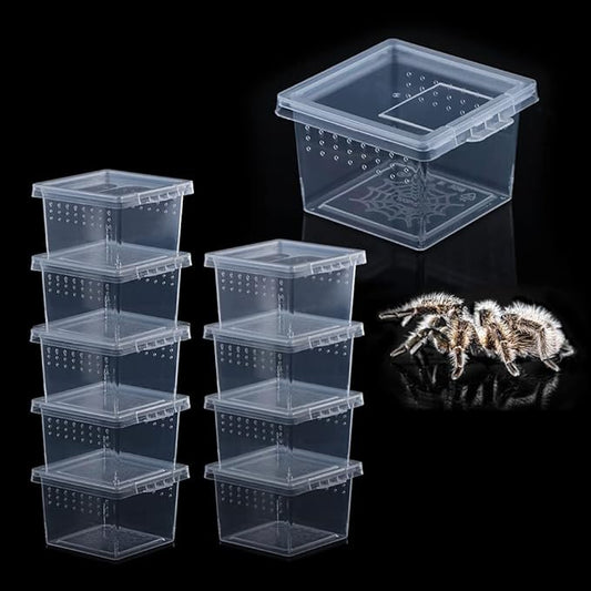 10 Pcs Insect Spider Terrariums Breeding Box Hatching Container Small Reptile Scorpion Centipede Acrylic Breeding Box (Small Size)-PurrikoPets