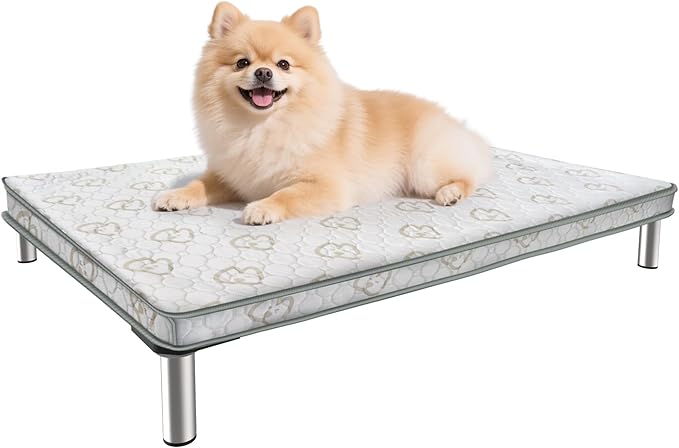 FXW TitanNest Chew-Proof Elevated Dog Bed, Raised Cot for Indoor/Outdoor/Camping Use, Durable & Washable Padded Pet Bed with Exclusive Cover for Extra-Small Dogs, 30.0" L x 22.0" W x 4.5" H, Gray-PurrikoPets