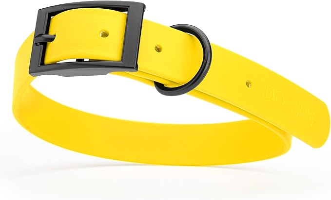 Dogline Biothane Waterproof Dog Collar Strong Coated Nylon Webbing with Black Hardware Odor- Proof for Easy Care Easy to Clean High Performance Fits Small Medium or Large Dogs, Lemon Yellow-PurrikoPets