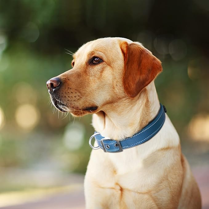 Fida Heavy Duty Dog Collar, Ultra Comfortable Soft Neoprene Padded, Adjustable Reflective Nylon Pet Collar with Durable Metal Belt Buckle for Large Breeds (L, Blue)-PurrikoPets