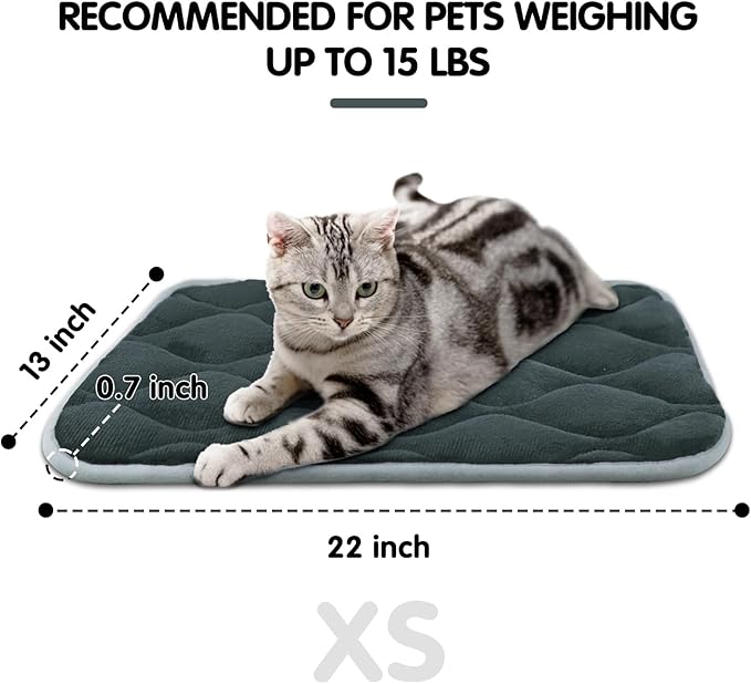 furrybaby Dog Bed Mat Flat Crate Mat with Anti-Slip Bottom Machine Washable Pet Kennel Pad for Dog Sleeping (XS 22x13'', Grey Mat)-PurrikoPets