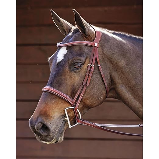 Dover Saddlery Ergonomic Hunter Bridle - Oakbark - Cob-C/S-PurrikoPets