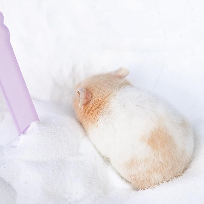 DR.DUDU Hamster Bath Sand, 2.8lb Dust Free Desert Sand or Potty Litter Sand for Hamster Chinchillas Gerbil Syrian Mice Small Animals (White)-PurrikoPets