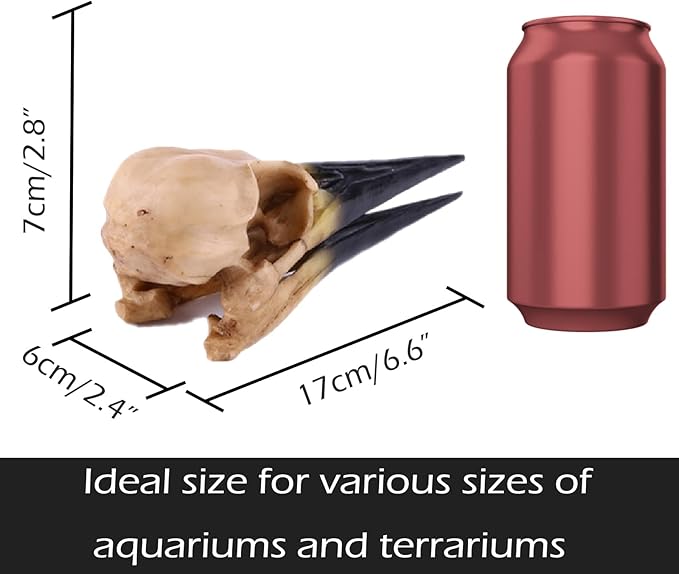 Fish Cave Hideout Ornament Décor for Terrarium Dinosaur Animal Skull Aquarium Large Decorations Betta Tarantula Reptile Snake Decor Bones Halloween-PurrikoPets