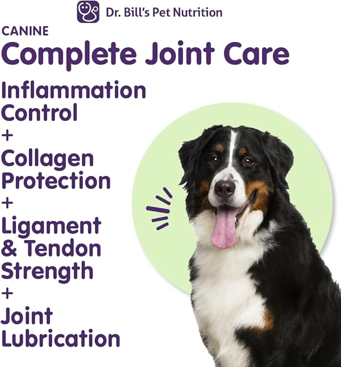 Dr. Bill’s Canine Complete Joint Care – Hip & Joint Supplement for Dogs for Mobility, Muscle Support & Inflammation Relief – Green Lipped Mussel, Chondroitin, Collagen, Omega-3 – Powder, 340g-PurrikoPets