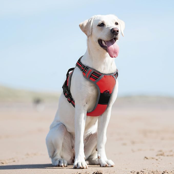 Eagloo Dog Harness for Large Dogs, No Pull Service Vest with Reflective Strips and Control Handle, Adjustable and Comfortable for Easy Walking, No Choke Pet Harness with 2 Metal Rings, Red, L-PurrikoPets