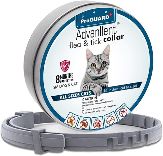 Flea Collar for Cats, Flea and Tick Collars for Cats and Kittens, 8 Month Protection, Gray, 1 Pack CAT-PurrikoPets