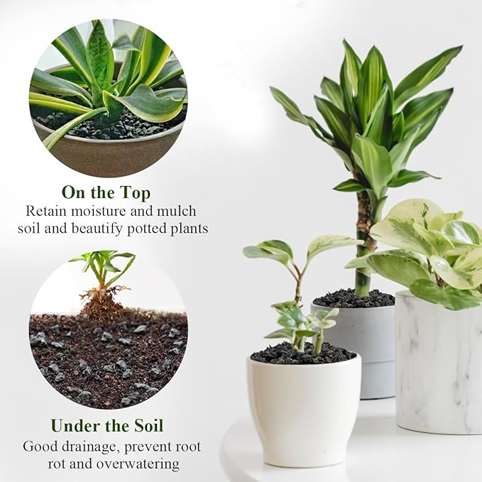 2 lbs Black Lava Rocks for Plants,1/4 Inch Crush Volcanic Rock Pumice Soil Additive for Succulent Aquarium Cactus Bonsai Fire Pits and Garden Landscaping-PurrikoPets