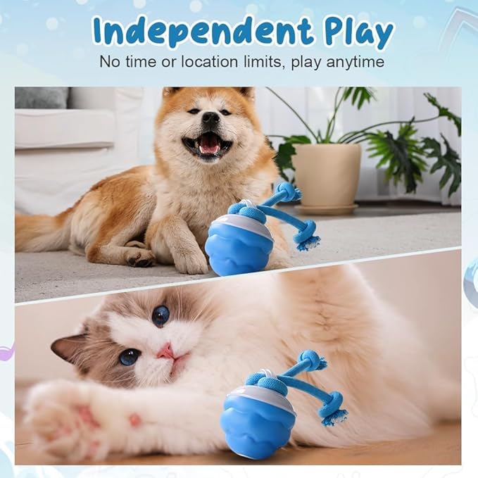 2026 New Interactive Pet Toy Ball, Smart Interactive Toy Ball for Cats & Dogs, Electric Rolling Pet Toy Ball, Rechargeable Interactive Cat Toys for Bored Indoor Cats Kittens to Keep Busy (Blue)-PurrikoPets