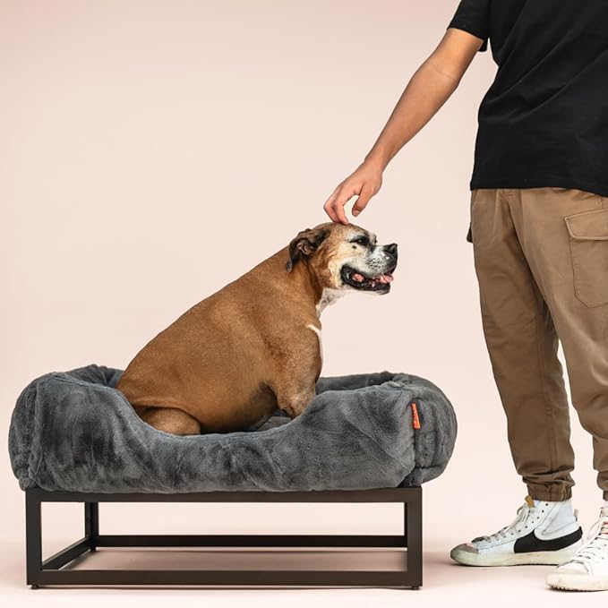 FUZI Premium Aesthetic Dog Bed for Medium Dogs with Washable Cover, Pet Couch, Pet Bed with Sides, Non-Slip Bottom, Soft and Durable Calming Dog Bed, Faux Rabbit Fur, Medium 31.75x23.6x9.5 Dark Grey-PurrikoPets