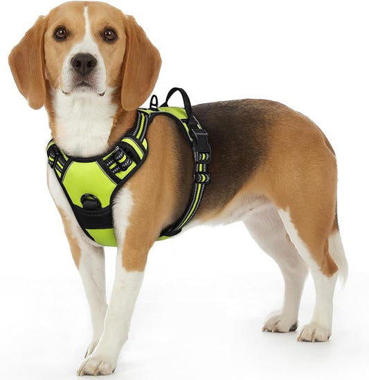 Eagloo Dog Harness Small Sized Dog, No Pull Service Vest with Reflective Strips and Control Handle, Adjustable and Comfortable for Walking, No Choke Pet Harness with 2 Metal Rings, Green, S-PurrikoPets