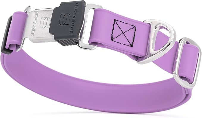 Dogline Biothane Waterproof Dog Collar with Herm Sprenger Black Stainless Steel Quick Release Buckle – Heavy Duty Tactical Durable Collar for Dogs – Comfortable, Safe Pet Collar W 1" L 15-25" Amethyst-PurrikoPets