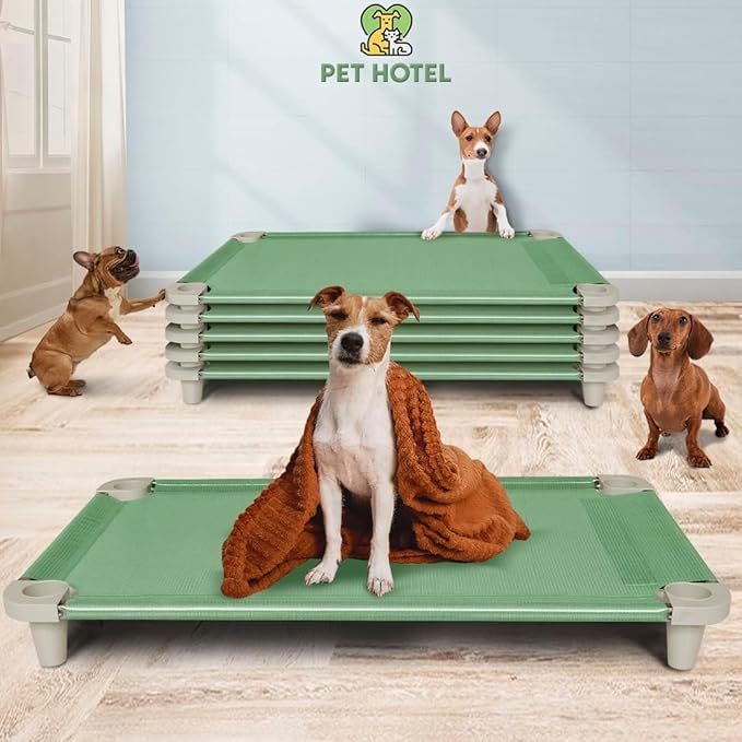 Acrimet Cooling Elevated Pet Dog Bed, Washable and Breathable Mesh Cot, Stainless Steel Frame, Indoor & Outdoor Use, fits Dogs up to 110 lbs (Size: 40” x 24”), Green, 1 Unit-PurrikoPets