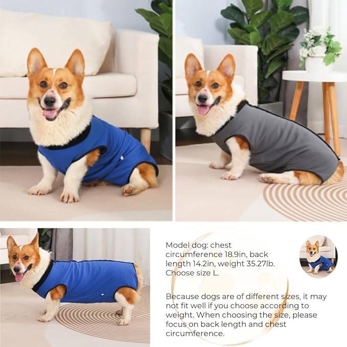 Dog Surgery Recovery Suit,Abdominal Surgical Suit for Dogs,Recovery Suit for Dogs,Prevent Licking Surgical Wound Dog Cone Alternative Blue S-PurrikoPets