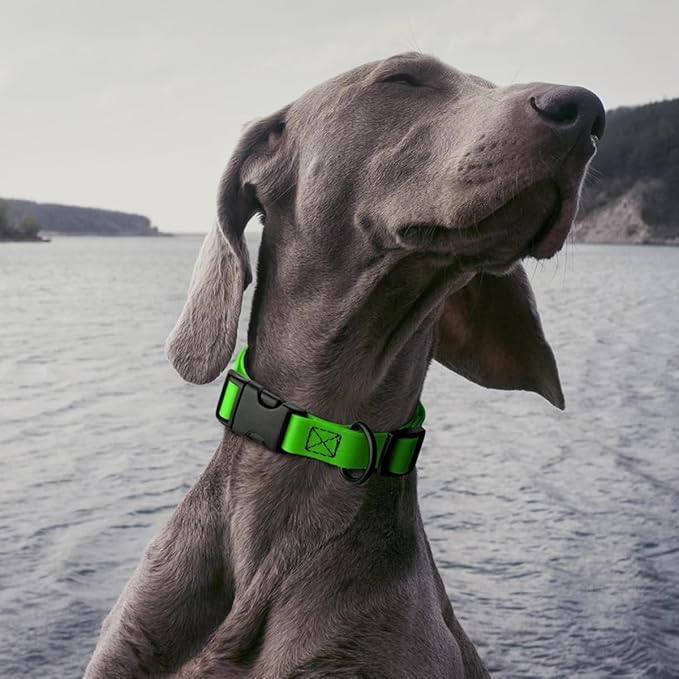 Dogline Biothane Waterproof Dog Collar with Quick Release Buckle Strong Coated Nylon Webbing with Odor- Proof for Easy Care Easy to Clean Fits Small Medium Large Dogs, Lime Green 1" W 15-25" L-PurrikoPets