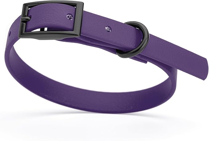 Dogline Biothane Waterproof Dog Collar Strong Coated Nylon Webbing with Black Hardware Odor- Proof for Easy Care Easy to Clean High Performance Fits Small Medium or Large Dogs, Violet Purple-PurrikoPets