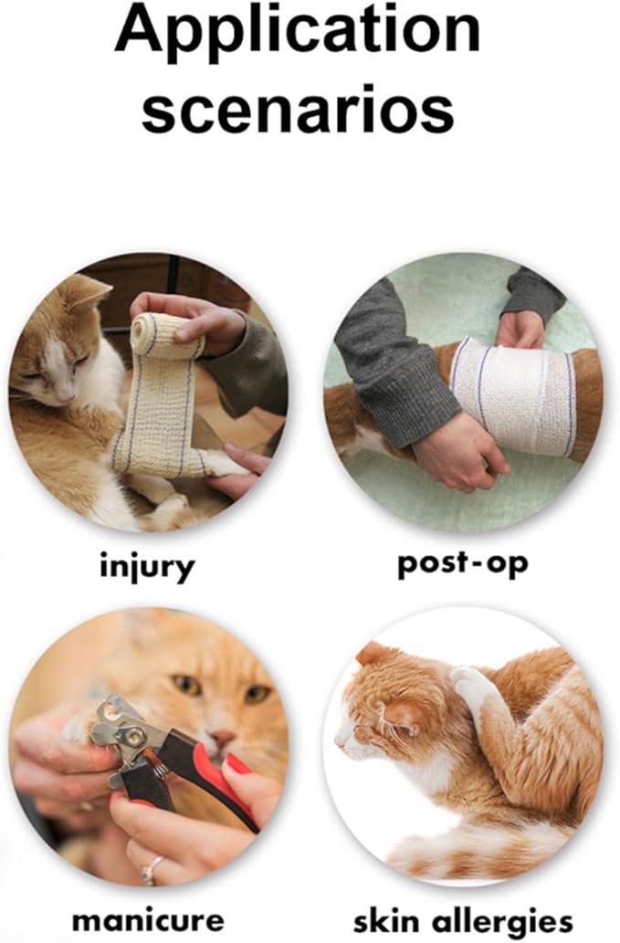 EWES Cat Cone Collar Soft M Size Alternative Neck Cones to Stop Licking Kitten Comfy Elizabethan Collars After Surgery Neuter Dog Donut Collar for Pet e Collar Recovery Shame-PurrikoPets