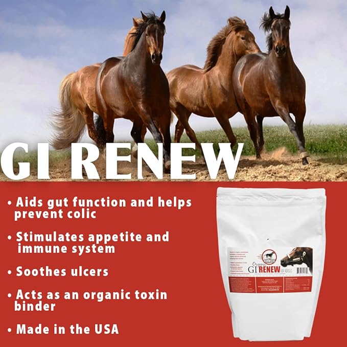 GI Renew, Probiotics for Equine, Immune and Appetite Stimulation, Prebiotics, Digestive Enzymes | Horse Supplement Providing Ulcer Relief and Organic Toxin Binder, 5 LB Pouch-PurrikoPets