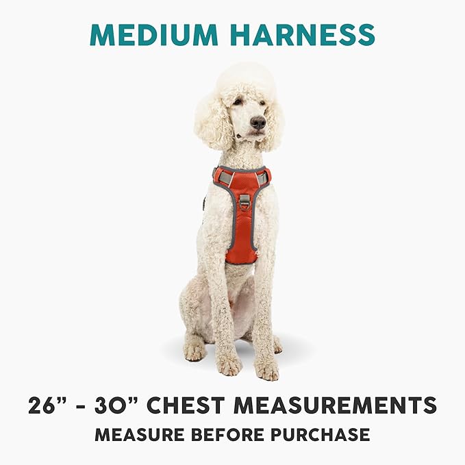 Embark Adventure Dog Harness, Reflective Trim No Pull Dog Harness Medium Sized Dogs - Military Grade Nylon, Front Clip with Gel Lined Handle.-PurrikoPets