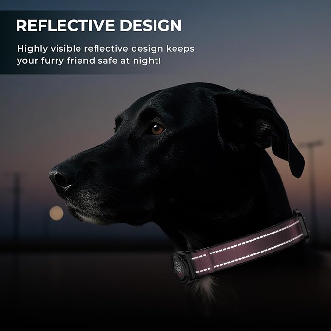 2025 Upgrade Airtag Dog Collar, Reflective Dog Collar with Airtag Holder, IP68 Waterproof| Metal Buckle| Ultra-Durable| Comfortable Padded, GPS Dog Collars for Medium Large Dogs (Pink,M)-PurrikoPets