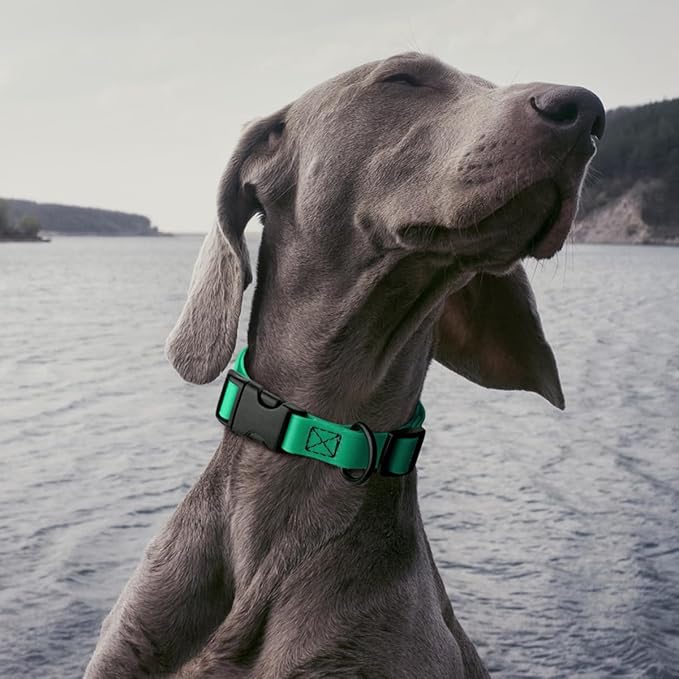 Dogline Biothane Waterproof Dog Collar with Quick Release Buckle Strong Coated Nylon Webbing with Odor- Proof for Easy Care Easy to Clean Fits Small Medium or Large Dogs, Teal 3/4" W 12-19" L-PurrikoPets