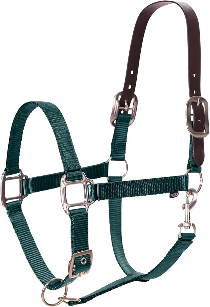 Equinavia Loki Adjustable Breakaway Horse Halter - Hunter Green - Horse-PurrikoPets