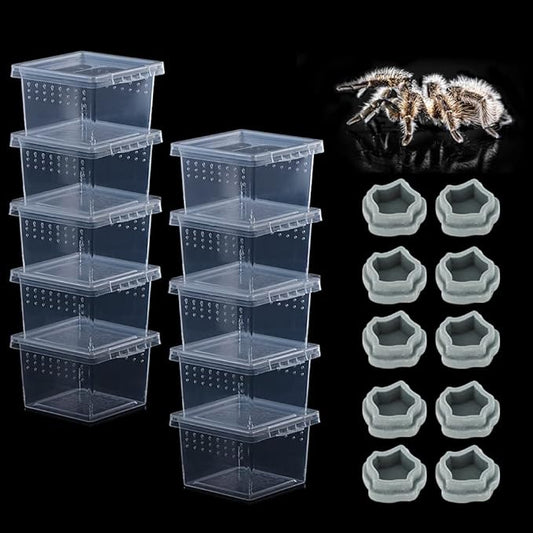 10 Pack Small Size Spider Terrariums Breeding Box Hatching Container Insect Scorpion Centipede Acrylic Breeding Box (with 10 Pcs Micro Water Bowl-PurrikoPets