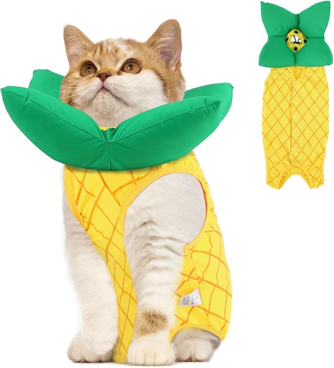 EMUST Cat Recovery Suit and Cat Cone Collar Set, Soft kittens Onesie for Cats After Surgery Female, Cute Kitten Surgery Recovery Suit Female, Cone of Shame Alternative for Kittens Under 4lb, Yellow, S-PurrikoPets