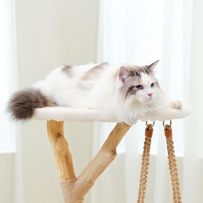 50" Tall Cat Tree Tower, Modern Cat Tree for Indoor Cats, Washable Wooden Perchs and Climbers for Large Cats, Cute Cat Furniture with Unique Cat Swing-PurrikoPets