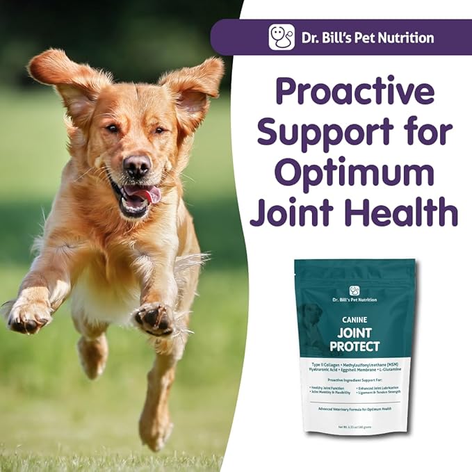 Dr. Bill’s Canine Joint Protect | Joint Support for Dogs | Pet Supplement for Ligament & Tendon Strength | Collagen Type II, Hyaluronic Acid, Eggshell Membrane and L-Glutamine-PurrikoPets