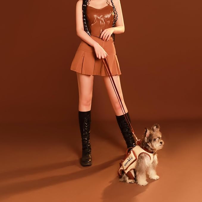 Dog Lift Harness Dog Carrier VES Harness Adjustable Leash with Small Puppy Treat Bag,Fits Most Cars,M-PurrikoPets