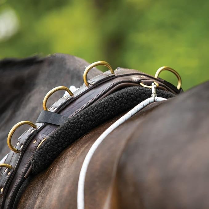 Advanced European Training System | Advanced Training Tool | Enhances Horse Carriage and Headset | Encourages Forward Movement | Strengthens Key Muscles | Not for Beginners-PurrikoPets