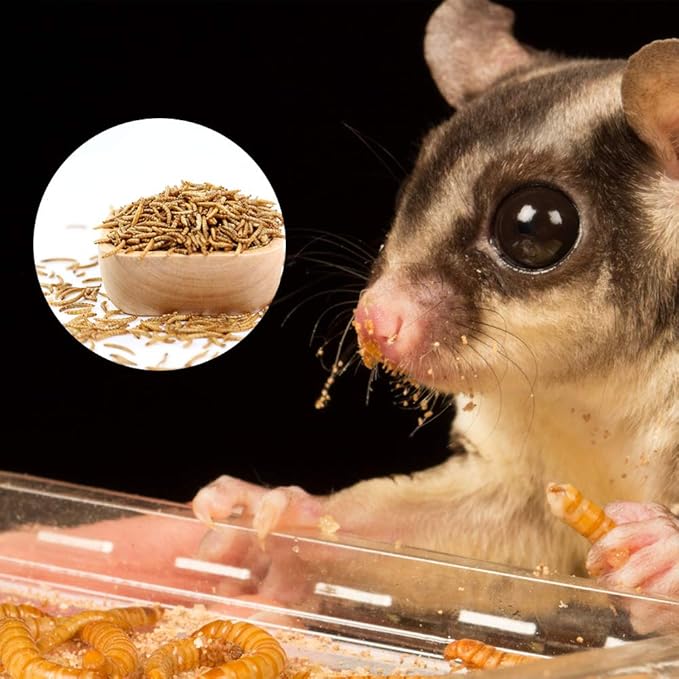 20lbs Mealworms, High-Protein Dried Mealworms for Birds, Chickens, Turtles, Fish, Hamsters and Hedgehogs, Non-GMO and Chemical Free, All Natural Animal Feed-PurrikoPets