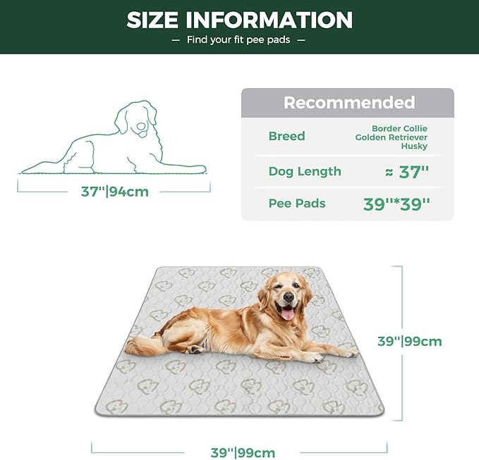 FXW Washable Pee Pads for Dogs, Puppy Pads with Super Absorbent, Specifically Designed for Potty Training, Square, 39" x 39", 2 Packs-PurrikoPets