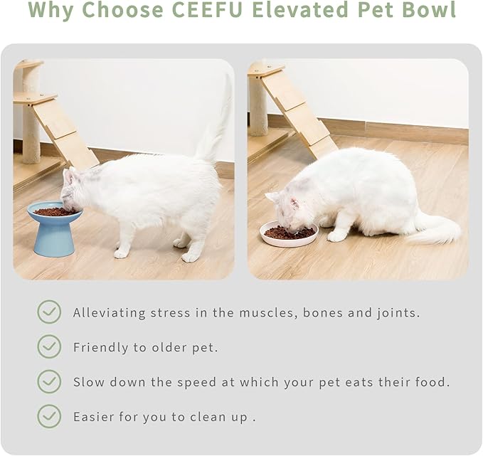 Extra Wide Elevated Ceramic Cat Bowl, 6.2" Shallow Dish for Whisker Fatigue Relief, 5" Height for Easy Feeding, Durable Raised Cat Food Bowls, Pack of 2, Blue-PurrikoPets